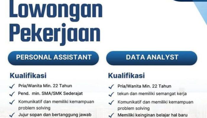 Lowongan Kerja Data Analyst Orion Store Purwokerto