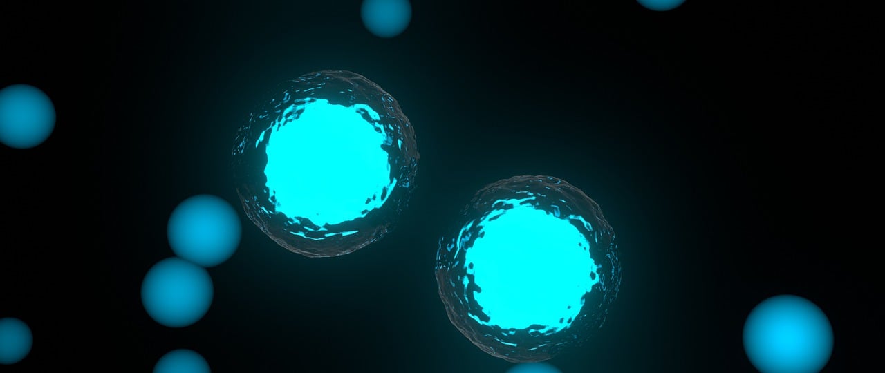 pengertian mitosis dan meiosis